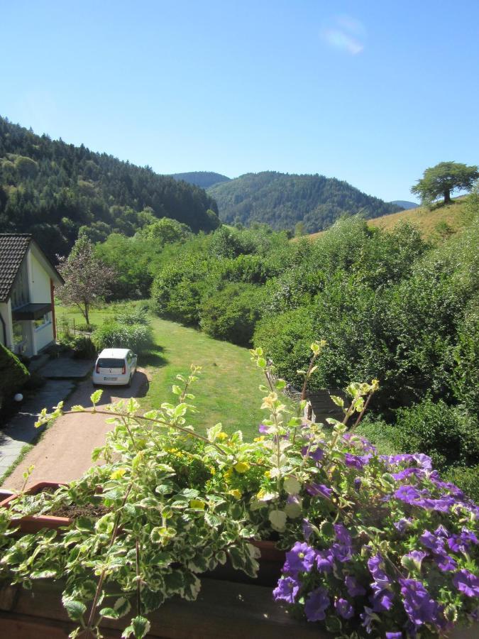 Ferienwohnungen Schwabenhof Schramberg Buitenkant foto